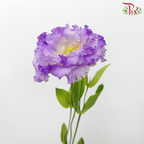 Eustoma - Smoke Grey Purple (650-750 Gram)-Smoke Grey-China-prflorist.com.my