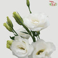 Eustoma - White (Per Bunch)-White-Malaysia-prflorist.com.my