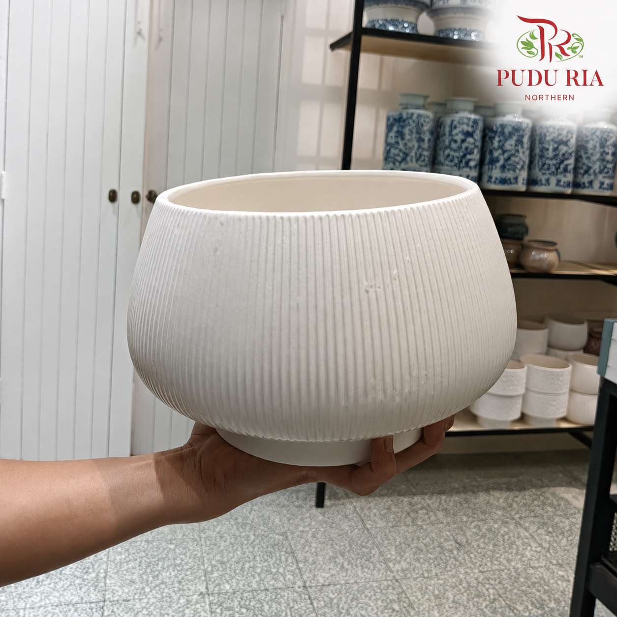 TY-8819 (L Size) Pot