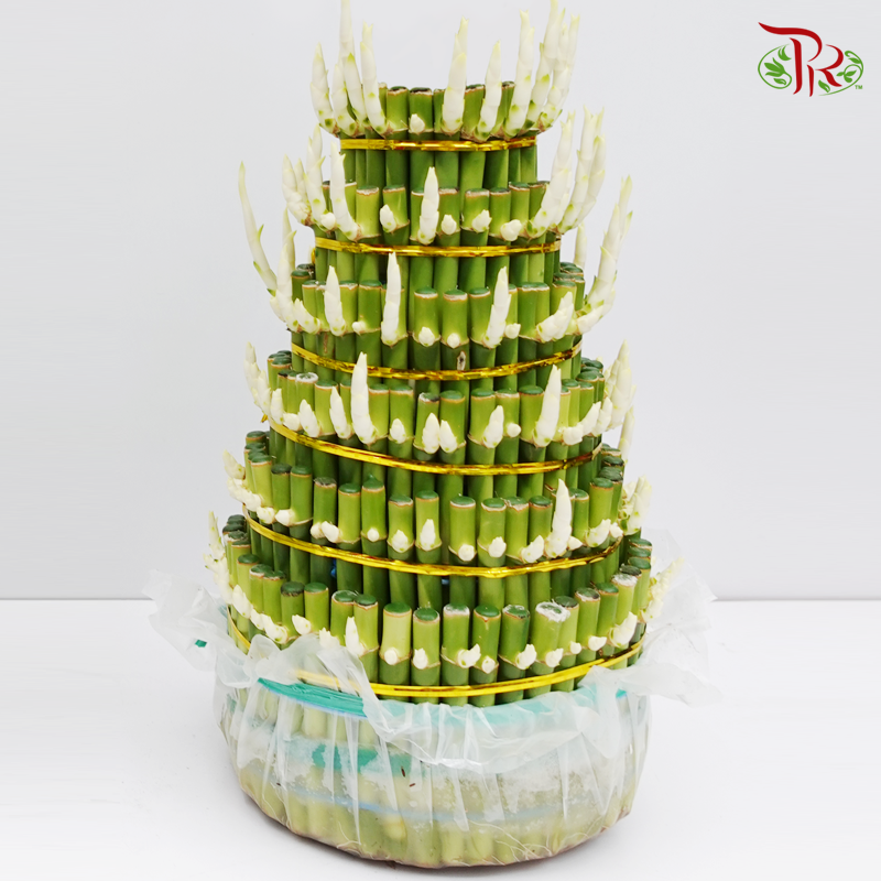 F6R/28P Bamboo (28cm)-28cm-Pudu Ria Florist-prflorist.com.my