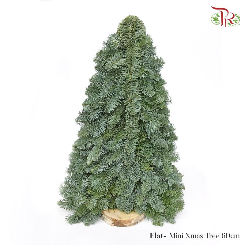 FLAT- Mini Christmas Tree - (60 CM)-Pudu Ria Florist-prflorist.com.my