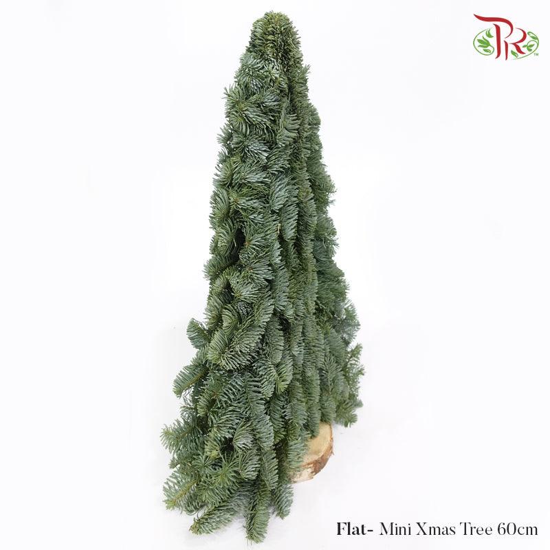 FLAT- Mini Christmas Tree - (60 CM)-Pudu Ria Florist-prflorist.com.my