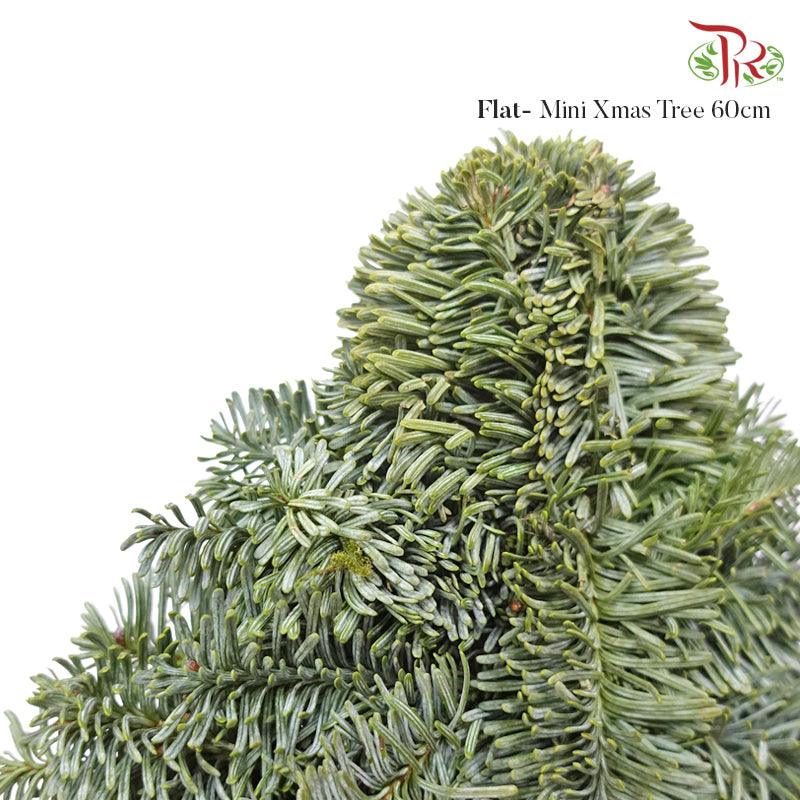 FLAT- Mini Christmas Tree - (60 CM)-Pudu Ria Florist-prflorist.com.my