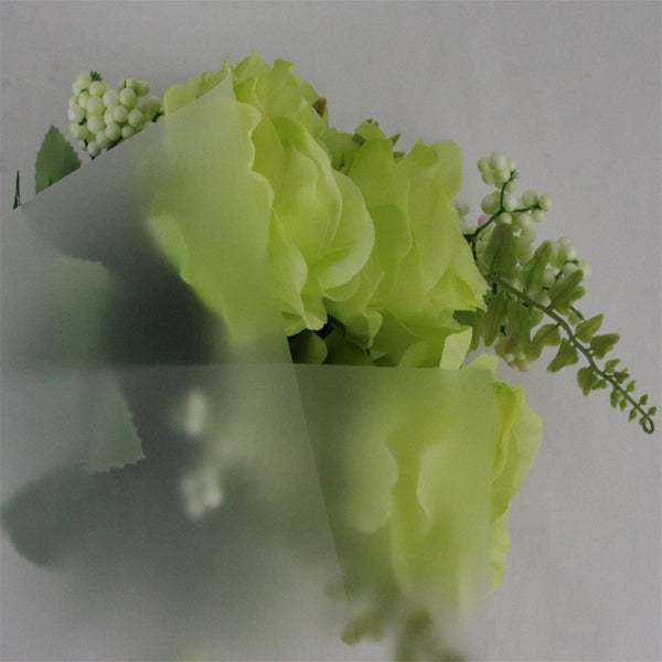 FPL035 OPP KOREA MATTE PLASTIC - Freesia