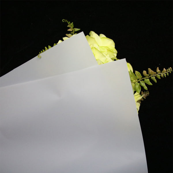 FPL035 OPP KOREA MATTE PLASTIC - Freesia