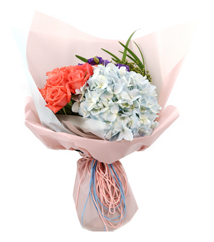 FRB044 VELVET ROPE - Freesia