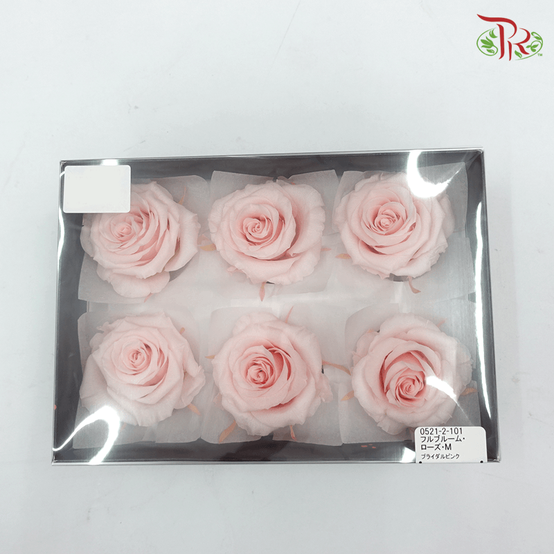 Full Bloom Rose M Preservative - Pink ( 0521-2-101 )-Pink-Japan-prflorist.com.my