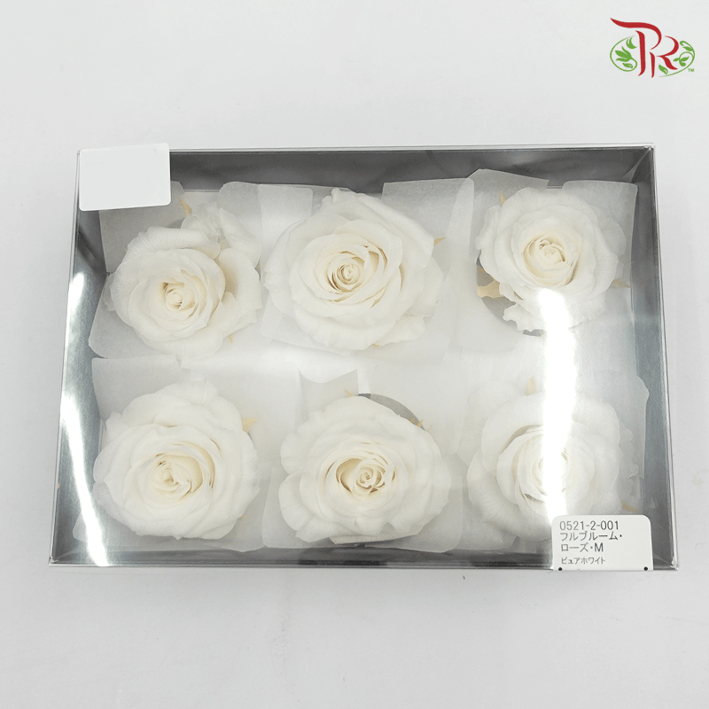 Preserved Full Bloom Rose M