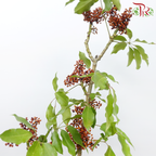 Goose Web Flowers - (Per Bunch)-China-prflorist.com.my