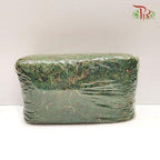 Green Moss Dried