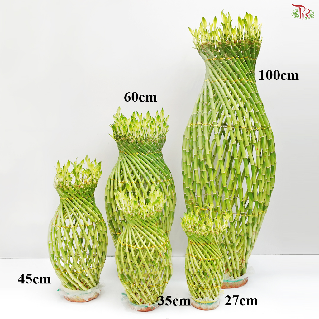 Guci Bamboo《猪笼入水》