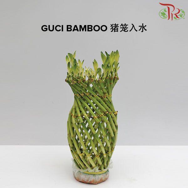 Guci Bamboo《猪笼入水》