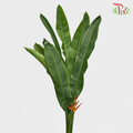Heliconia - (5 Stems)-Malaysia-prflorist.com.my