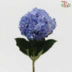 Hydrangea Blue - Per Stem-Blue-China-prflorist.com.my