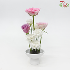(Ikebana Kenzan Flower Frog) Jian Shan Pill Three (310000025/320000025) (Per Unit)