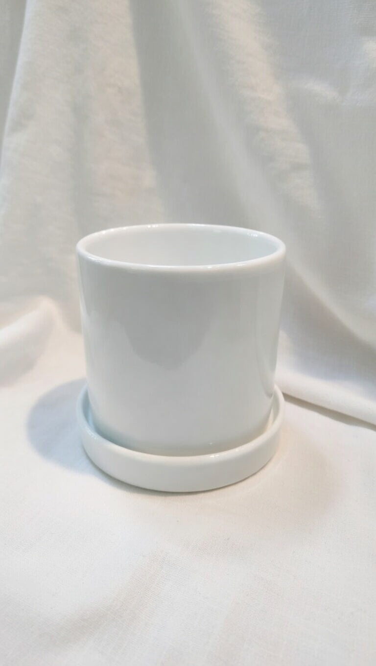 TX03 WHITE POT
