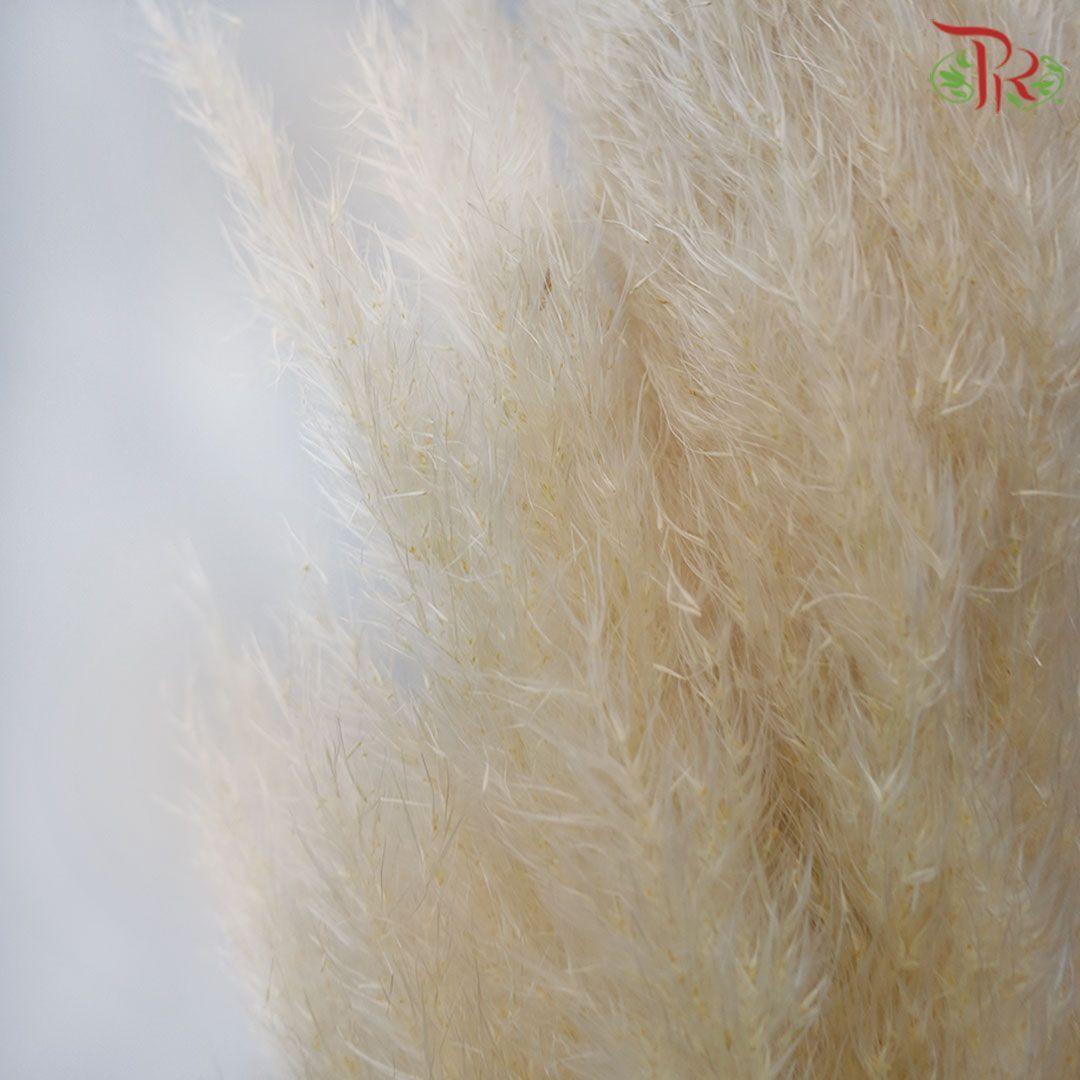 Import-Bleached-Italy-prflorist.com.my