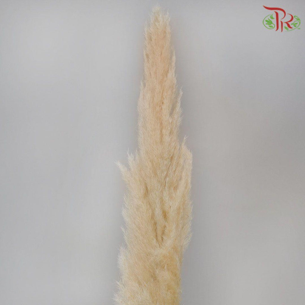 Import-Bleached-Italy-prflorist.com.my