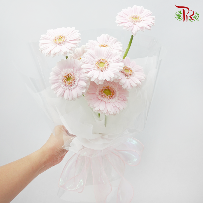 Imported Gerbera Pastel Colour Hand Bouquet (10 Stems)-Pudu Ria Florist-prflorist.com.my