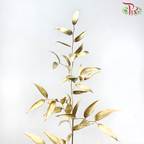 Italy Ruscus Dyed Metal Preservatives - Gold (Per Bunch)-Gold-Import-prflorist.com.my