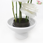 (Ikebana Kenzan Flower Frog) Jian Shan 70*96 Copper Needle (310000019)
