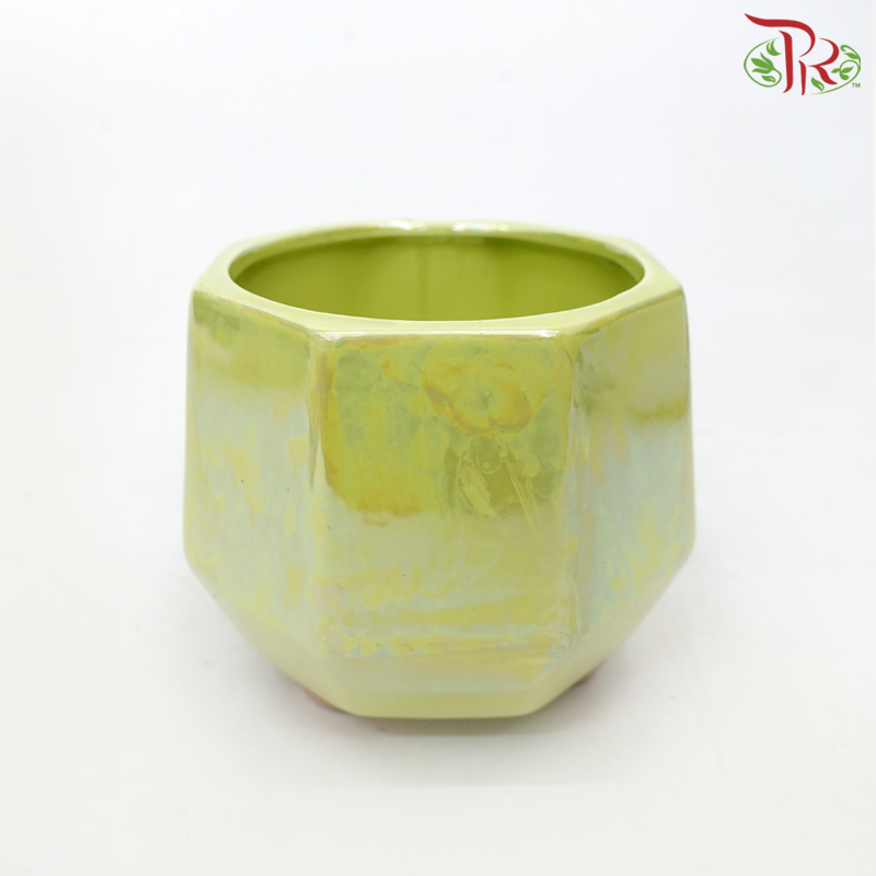 JZ-DW - Asst Pot (JZ-DW0288)-Green-Pudu Ria Florist-prflorist.com.my
