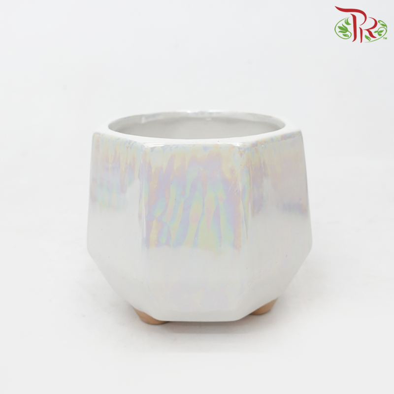 JZ-DW - Asst Pot (JZ-DW0288)-White-Pudu Ria Florist-prflorist.com.my