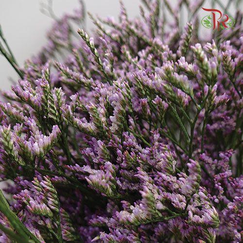 Limonium Dragon Star - Purple (Per Bunch)-Purple-China-prflorist.com.my
