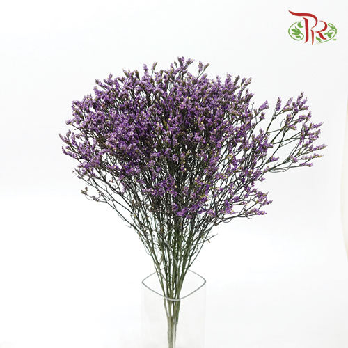 Limonium Dyed - Purple (10 Stems)-Purple-Ecd-prflorist.com.my