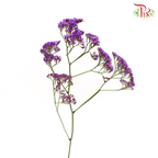Limonium Misty - (Per Bunch)-Purple-China-prflorist.com.my