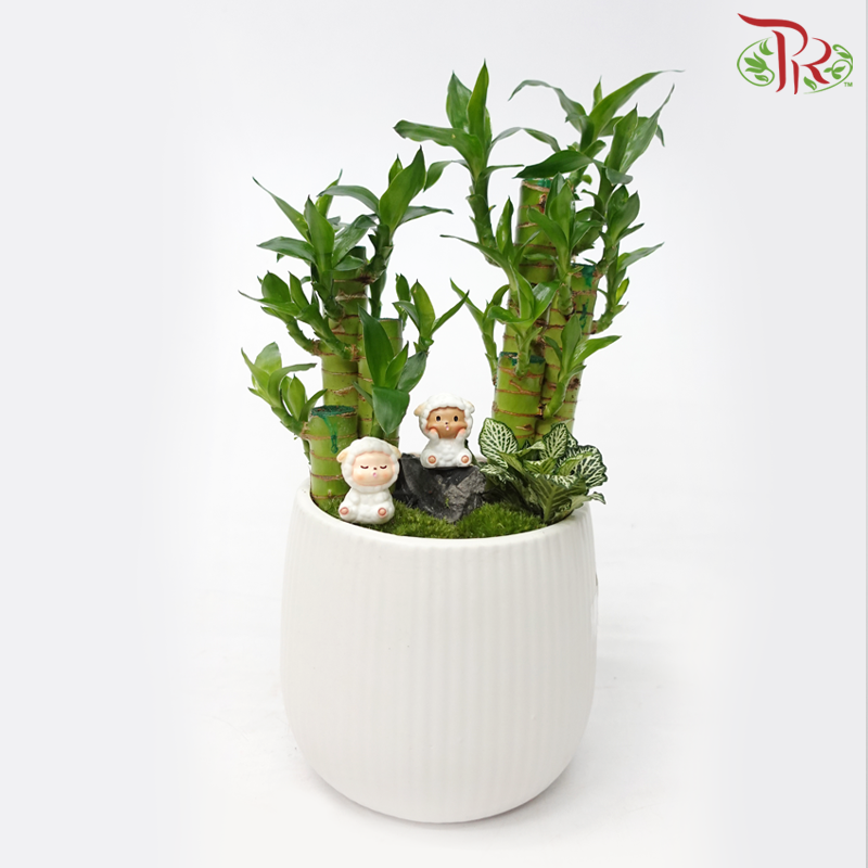 Lotus Bamboo Arrangement《步步高升》(Random Choose Design & Deco)