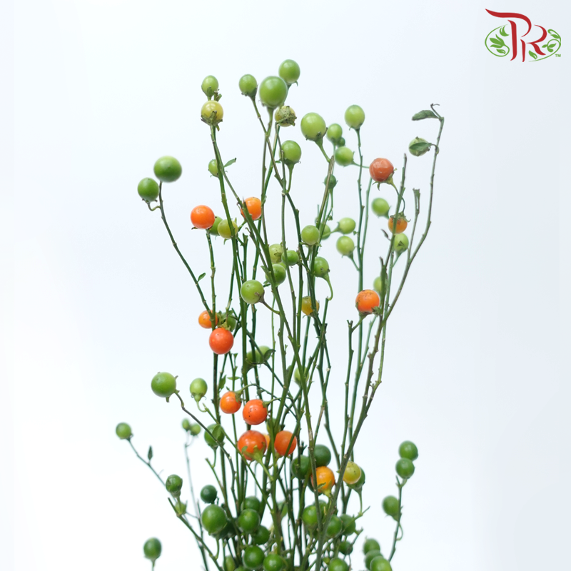 Lucky Fruit (Per Bunch)-China-prflorist.com.my