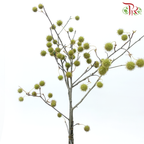Maple Fruit - (Per Bunch)-China-prflorist.com.my