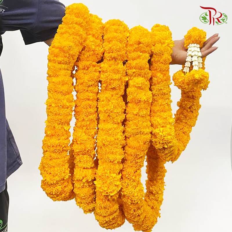 Marigold Garland (6 meter per unit)-Malaysia-prflorist.com.my