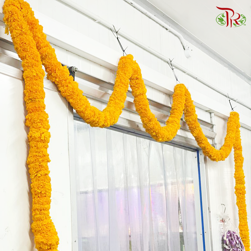 Marigold Garland (6 meter per unit)-Malaysia-prflorist.com.my