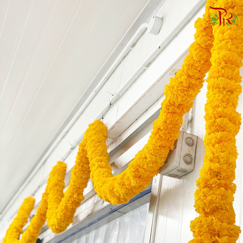 Marigold Garland (6 meter per unit)-Malaysia-prflorist.com.my
