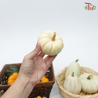 Mini Pumpkin (Special Halloween Series) Random Choose-Cream-Pudu Ria Florist-prflorist.com.my