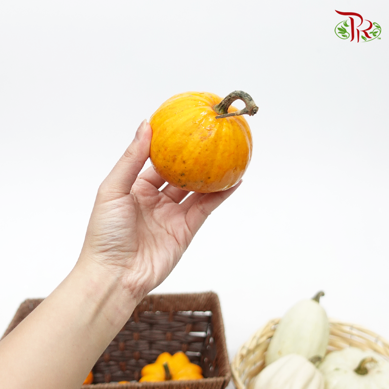 Mini Pumpkin (Special Halloween Series) Random Choose-Orange-Pudu Ria Florist-prflorist.com.my