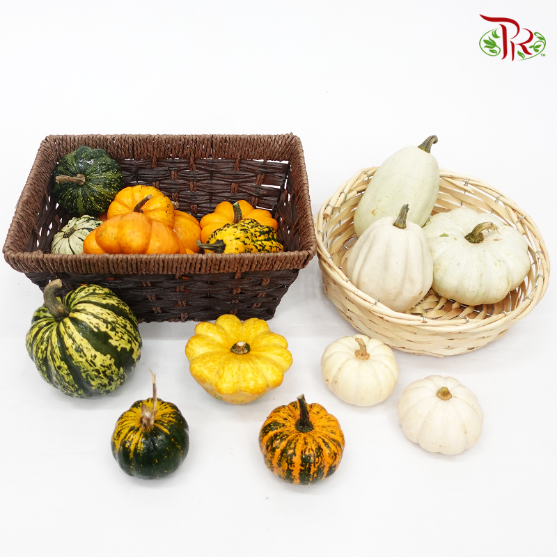Mini Pumpkin (Special Halloween Series) Random Choose-Pudu Ria Florist-prflorist.com.my