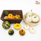 Mini Pumpkin (Special Halloween Series) Random Choose-Pudu Ria Florist-prflorist.com.my