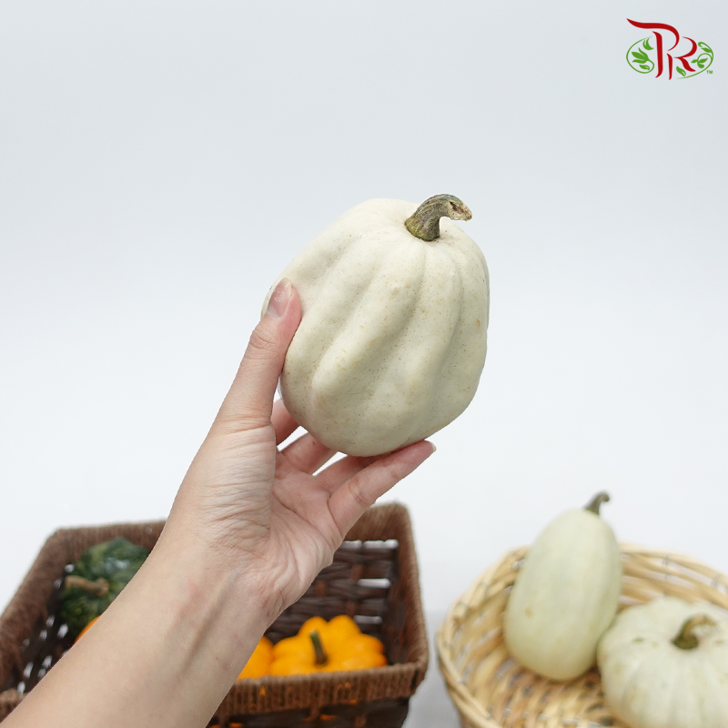 Mini Pumpkin (Special Halloween Series) Random Choose-Pudu Ria Florist-prflorist.com.my
