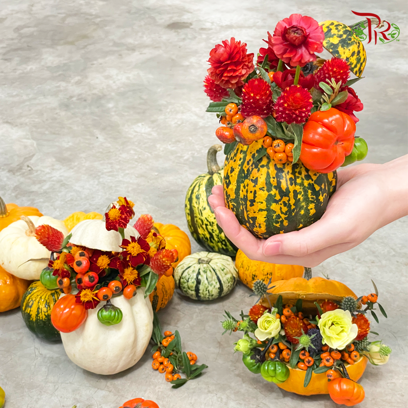 Mini Pumpkin (Special Halloween Series) Random Choose-Pudu Ria Florist-prflorist.com.my
