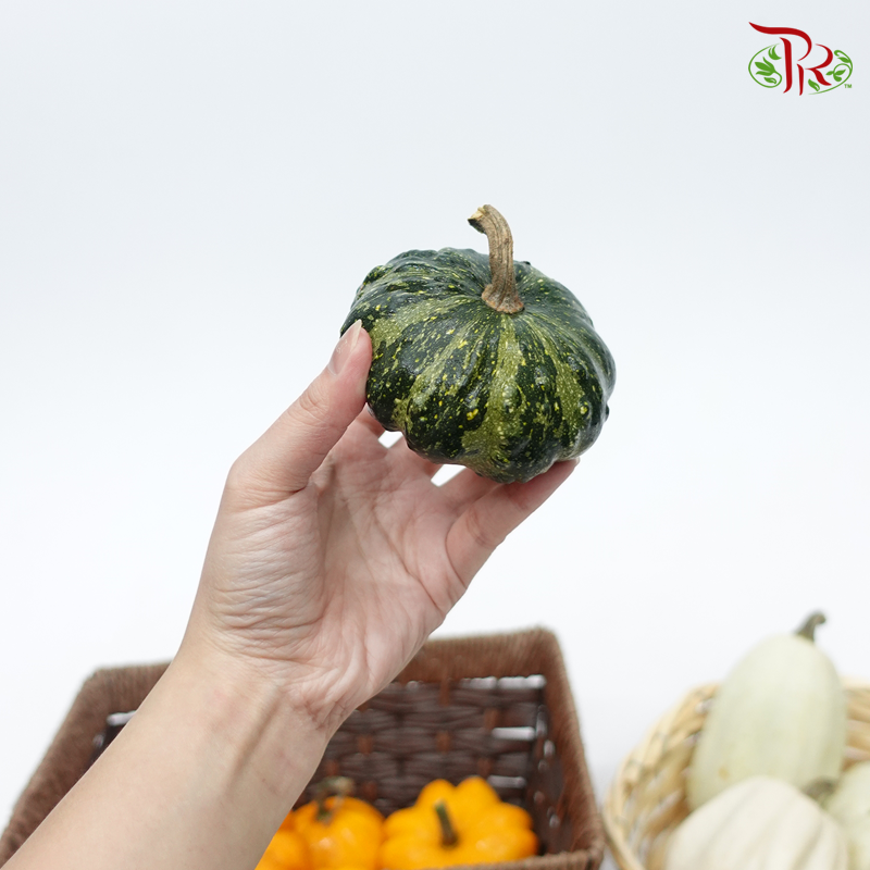 Mini Pumpkin (Special Halloween Series) Random Choose-Pudu Ria Florist-prflorist.com.my