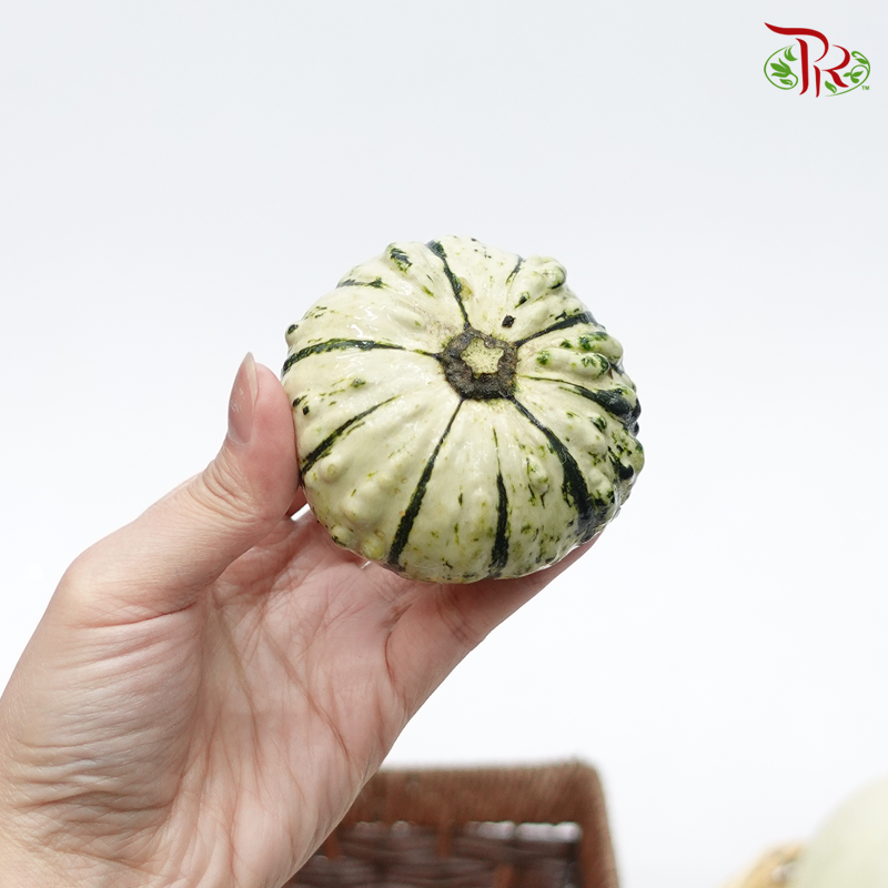 Mini Pumpkin (Special Halloween Series) Random Choose-Pudu Ria Florist-prflorist.com.my