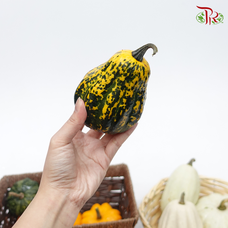Mini Pumpkin (Special Halloween Series) Random Choose-Pudu Ria Florist-prflorist.com.my
