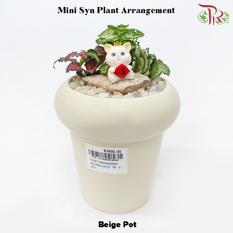 Mini Syngonium Plant Arrangement 迷你合果芋-《好 “芋” 头》(Gardening Miniature Randomly Selected)