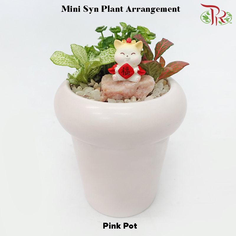 Mini Syngonium Plant Arrangement 迷你合果芋-《好 “芋” 头》(Gardening Miniature Randomly Selected)
