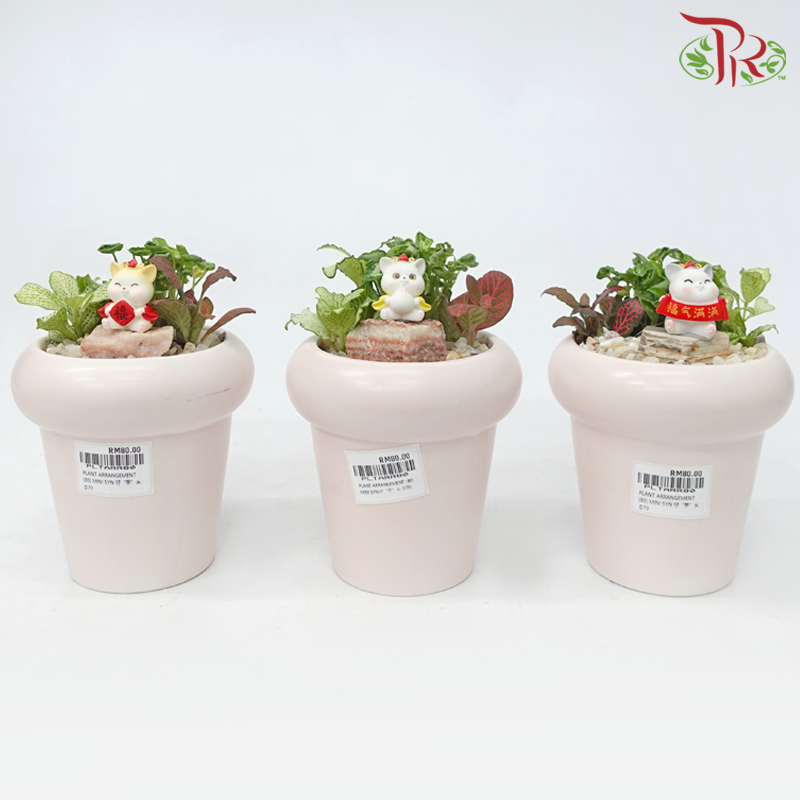 Mini Syngonium Plant Arrangement 迷你合果芋-《好 “芋” 头》(Gardening Miniature Randomly Selected)