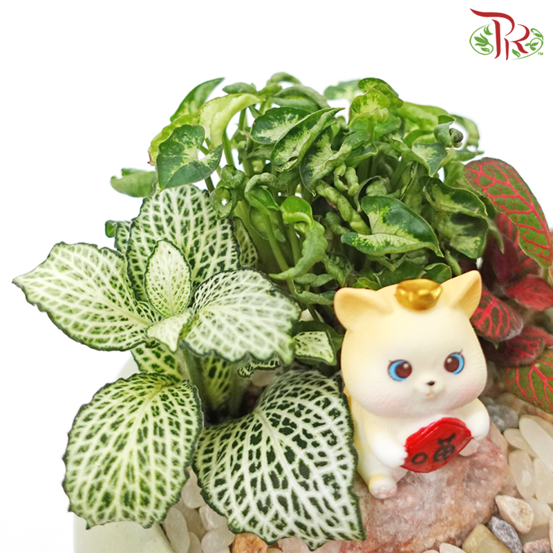 Mini Syngonium Plant Arrangement 迷你合果芋-《好 “芋” 头》(Gardening Miniature Randomly Selected)