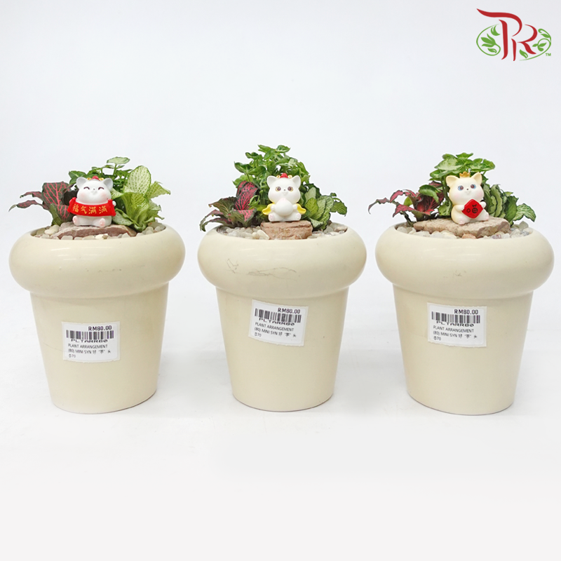 Mini Syngonium Plant Arrangement 迷你合果芋-《好 “芋” 头》(Gardening Miniature Randomly Selected)